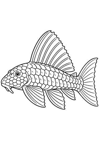 Coloriage à imprimer : Pléco commun (Pterygoplichthys gibbiceps), dessin au trait noir sur fond blanc.
