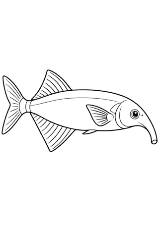 Coloriage à imprimer : Poisson-éléphant (Gnathonemus petersii), dessin au trait noir sur fond blanc.