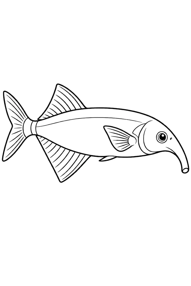 Coloriage à imprimer : Poisson-éléphant (Gnathonemus petersii), dessin au trait noir sur fond blanc.